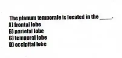 The planum temporale is located in the ____.
A) frontal lobe
B) parietal lobe
C) temporal lobe
D) occipital lobe