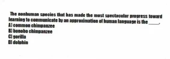 The nonhuman species that has made the most spectacular progress toward learning to communicate by an approximation of human language is the ____.
A) common chimpanzee
B) bonobo chimpanzee
C) gorilla
D) dolphin
