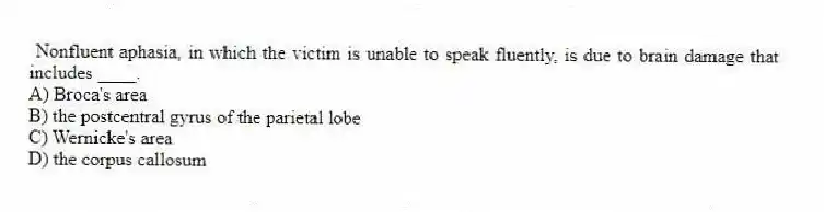 Nonfluent aphasia, in which the victim is unable to speak fluently, is due to brain damage that includes ____.
A) Broca's area
B) the postcentral gyrus of the parietal lobe
C) Wernicke's area
D) the corpus callosum