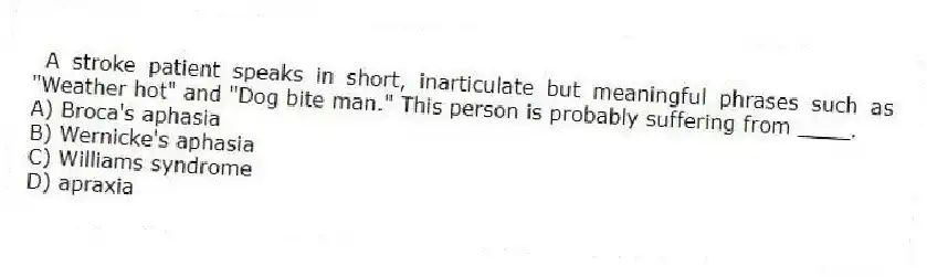 A stroke patient speaks in short, inarticulate but meaningful phrases such as "Weather hot" and "Dog bite man." This person is probably suffering from ____.
A) Broca's aphasia
B) Wernicke's aphasia
C) Williams syndrome
D) apraxia