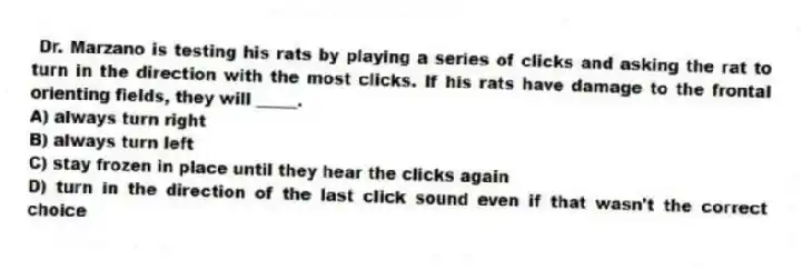  Dr. Marzano is testing his rats by playing a series of clicks and asking the rat to turn in the direction with the most clicks. If his rats have damage to the frontal orienting fields, they will _____.
A) always turn right
B) always turn left
C) stay frozen in place until they hear the clicks again
D) turn in the direction of the last click sound even if that wasn't the correct choice
