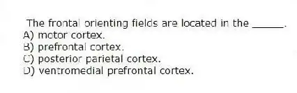 The frontal orienting fields are located in the _____.
A) motor cortex.
B) prefrontal cortex.
C) posterior parietal cortex.
D) ventromedial prefrontal cortex.