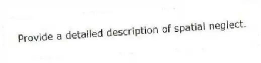  Provide a detailed description of spatial neglect.
