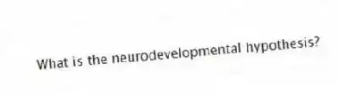 What is the neurodevelopmental hypothesis?