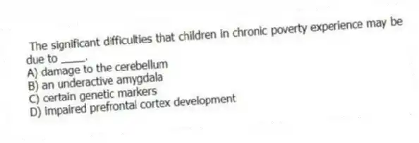 The significant difficulties that children in chronic poverty experience may be due to ____.
A) damage to the cerebellum
B) an underactive amygdala
C) certain genetic markers
D) impaired prefrontal cortex development