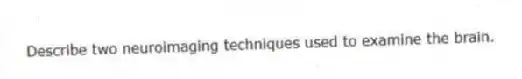 Describe two neuroimaging techniques used to examine the brain.