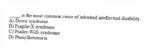 ____ is the most common cause of inherited intellectual disability.
A) Down syndrome
B) Fragile-X syndrome
C) Prader-Willi syndrome
D) Phenylketonuria