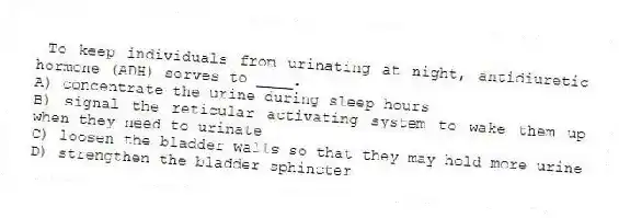 To keep individuals from urinating at night, antidiuretic hormone (ADH) serves to ____.
A) concentrate the urine during sleep hours
B) signal the reticular activating system to wake them up when they need to urinate
C) loosen the bladder walls so that they may hold more urine
D) strengthen the bladder sphincter