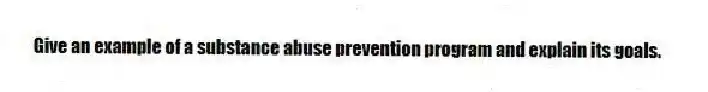  Give an example of a substance abuse prevention program and explain its goals.