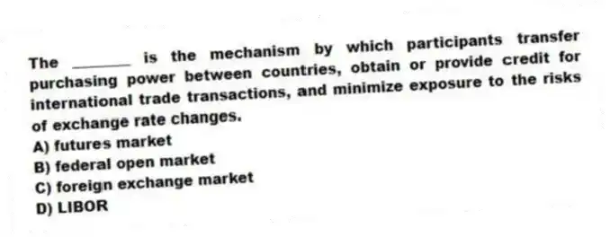 The ________ is the mechanism by which participants transfer purchasing power between countries, obtain or provide credit for international trade transactions, and minimize exposure to the risks of exchange rate changes.
A) futures market
B) federal open market
C) foreign exchange market
D) LIBOR