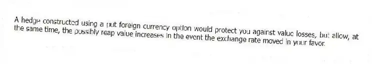A hedge constructed using a put foreign currency option would protect you against value losses, but allow, at the same time, the possibly reap value increases in the event the exchange rate moved in your favor.