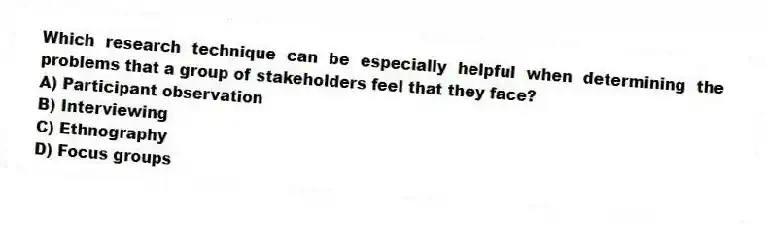 Which research technique can be especially helpful when determining the problems that a group of stakeholders feel that they face?
A) Participant observation
B) Interviewing
C) Ethnography
D) Focus groups