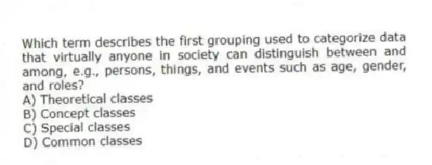 Which term describes the first grouping used to categorize data that virtually anyone in society can distinguish between and among, e.g., persons, things, and events such as age, gender, and roles?
A) Theoretical classes
B) Concept classes
C) Special classes
D) Common classes