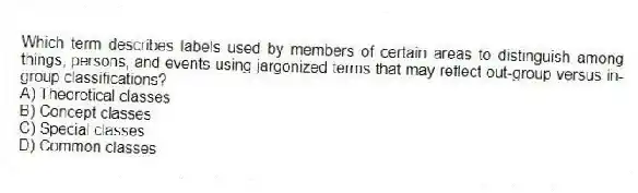 Which term describes labels used by members of certain areas to distinguish among things, persons, and events using jargonized terms that may reflect out-group versus in-group classifications?
A) Theoretical classes
B) Concept classes
C) Special classes
D) Common classes