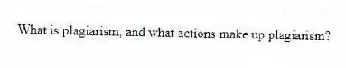 What is plagiarism, and what actions make up plagiarism?