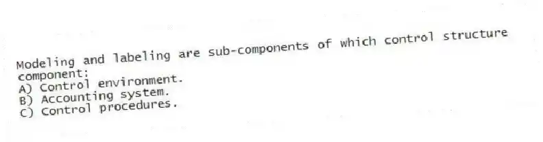 Modeling and labeling are sub-components of which control structure component:
A) Control environment.
B) Accounting system.
C) Control procedures.