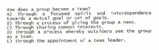 How does a group become a team?
A) Through a focused spirit and interdependence towards a mutual goal or set of goals.
B) Through a process of giving the group a name.
C) Through sharing common interests.
D) Through a process whereby outsiders see the group as a team.
E) Through the appointment of a team leader.