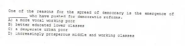 One of the reasons for the spread of democracy is the emergence of ________ who have pushed for democratic reforms.
A) a more vocal working poor
B) better educated lower classes
C) a desperate urban poor
D) increasingly prosperous middle and working classes