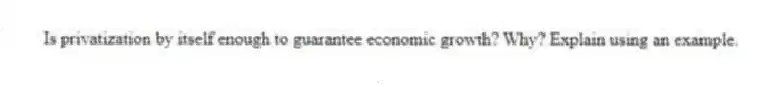Is privatization by itself enough to guarantee economic growth? Why? Explain using an example.