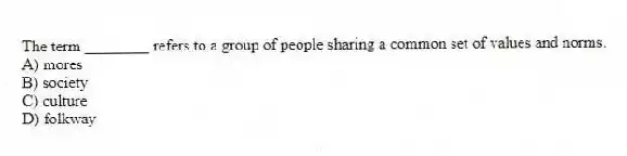 The term ________ refers to a group of people sharing a common set of values and norms.
A) mores
B) society
C) culture
D) folkway