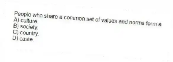 People who share a common set of values and norms form a
A) culture.
B) society.
C) country.
D) caste.