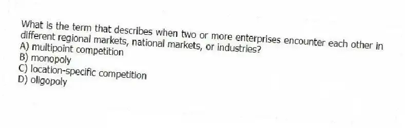 What is the term that describes when two or more enterprises encounter each other in different regional markets, national markets, or industries?
A) multipoint competition
B) monopoly
C) location-specific competition
D) oligopoly