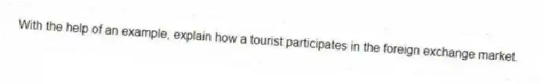 With the help of an example, explain how a tourist participates in the foreign exchange market.