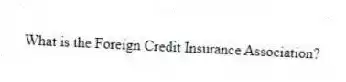 What is the Foreign Credit Insurance Association?