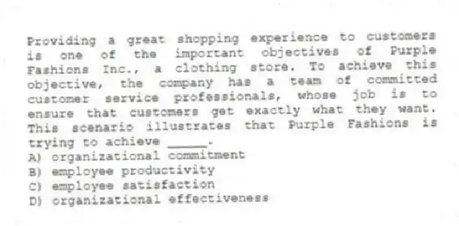 Providing a great shopping experience to customers is one of the important objectives of Purple Fashions Inc., a clothing store. To achieve this objective, the company has a team of committed customer service professionals, whose job is to ensure that customers get exactly what they want. This scenario illustrates that Purple Fashions is trying to achieve _____.
A) organizational commitment
B) employee productivity
C) employee satisfaction
D) organizational effectiveness
