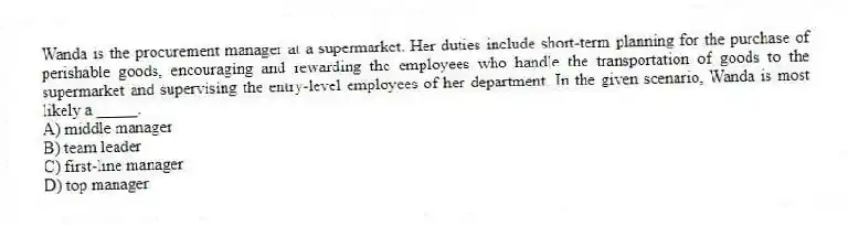 Wanda is the procurement manager at a supermarket. Her duties include short-term planning for the purchase of perishable goods, encouraging and rewarding the employees who handle the transportation of goods to the supermarket and supervising the entry-level employees of her department. In the given scenario, Wanda is most likely a _____.
A) middle manager
B) team leader
C) first-line manager
D) top manager