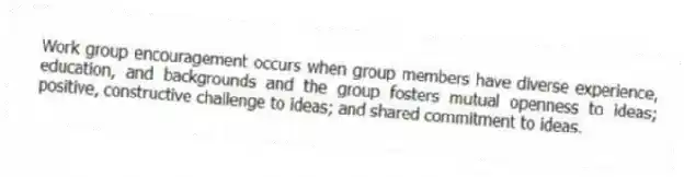 Work group encouragement occurs when group members have diverse experience, education, and backgrounds and the group fosters mutual openness to ideas; positive, constructive challenge to ideas; and shared commitment to ideas.