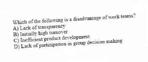 Which of the following is a disadvantage of work teams?
A) Lack of transparency
B) Initially high turnover
C) Inefficient product development
D) Lack of participation in group decision making