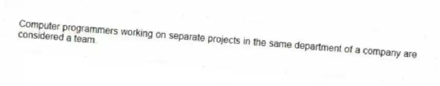 Computer programmers working on separate projects in the same department of a company are considered a team.