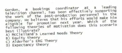 Gordon, a bookings coordinator at a leading television channel, has been effectively supporting the work of the post-production personnel in the company. He believes that his efforts would make him eligible for promotion next year. Which of the following theories of motivation does this scenario best illustrate?
A) McClelland's Learned Needs Theory
B) Equity theory
C) Alderfer's ERG Theory
D) Expectancy theory