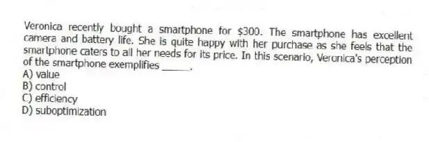 Veronica recently bought a smartphone for $300. The smartphone has excellent camera and battery life. She is quite happy with her purchase as she feels that the smartphone caters to all her needs for its price. In this scenario, Veronica's perception of the smartphone exemplifies _____.
A) value
B) control
C) efficiency
D) suboptimization
