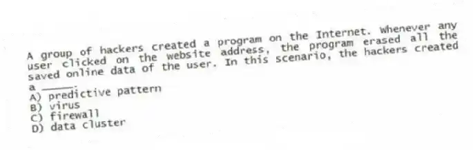 A group of hackers created a program on the Internet. Whenever any user clicked on the website address, the program erased all the saved online data of the user. In this scenario, the hackers created a _____.
A) predictive pattern
B) virus
C) firewall
D) data cluster