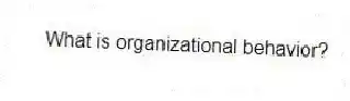 What is organizational behavior?