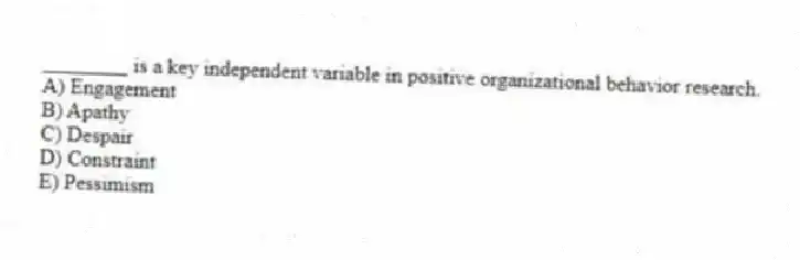 ________ is a key independent variable in positive organizational behavior research.
A) Engagement
B) Apathy
C) Despair
D) Constraint
E) Pessimism