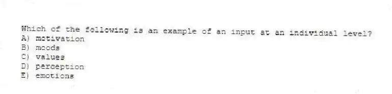 Which of the following is an example of an input at an individual level?
A) motivation
B) moods
C) values
D) perception
E) emotions