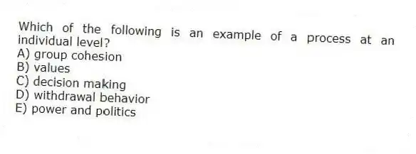 Which of the following is an example of a process at an individual level?
A) group cohesion
B) values
C) decision making
D) withdrawal behavior
E) power and politics