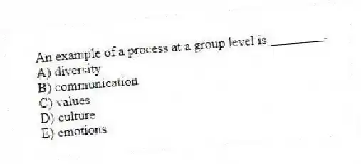 An example of a process at a group level is ________.
A) diversity
B) communication
C) values
D) culture
E) emotions