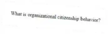 What is organizational citizenship behavior?