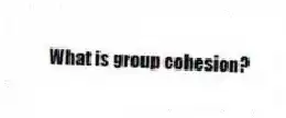 What is group cohesion?