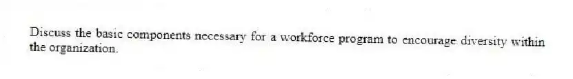 Discuss the basic components necessary for a workforce program to encourage diversity within the organization.