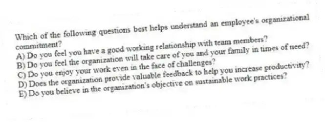 Which of the following questions best helps understand an employee's organizational commitment?
A) Do you feel you have a good working relationship with team members?
B) Do you feel the organization will take care of you and your family in times of need?
C) Do you enjoy your work even in the face of challenges?
D) Does the organization provide valuable feedback to help you increase productivity?
E) Do you believe in the organization's objective on sustainable work practices?