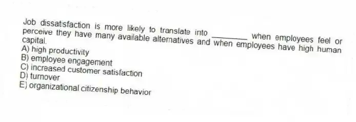 Job dissatisfaction is more likely to translate into ________ when employees feel or perceive they have many available alternatives and when employees have high human capital.
A) high productivity
B) employee engagement
C) increased customer satisfaction
D) turnover
E) organizational citizenship behavior