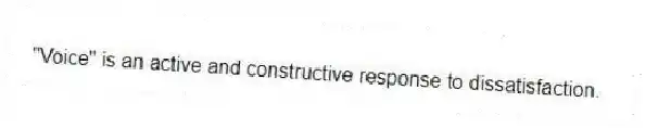"Voice" is an active and constructive response to dissatisfaction.
