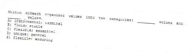Milton Rokeach organized values into two categories: ________ values and ________ values.
A) instrumental; terminal
B) fluid; stable
C) flexible; essential
D) unique; general
E) flexible; enduring