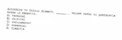 According to Milton Rokeach, ________ values refer to preferable modes of behavior.
A) terminal
B) critical
C) instrumental
D) essential
E) flexible