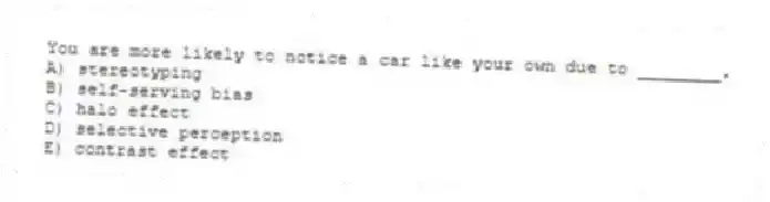 You are more likely to notice a car like your own due to ________.
A) stereotyping
B) self-serving bias
C) halo effect
D) selective perception
E) contrast effect